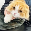 주안동물병원 이미지