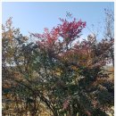 남천농산