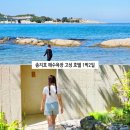 497정원 | 고성 호텔 강원도 감성 숙소 독채 펜션 송지호 해수욕장 여행 코스