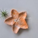 김천모암초등학교 이미지