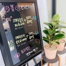 릴리뷰티