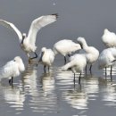 노랑고개 이미지