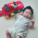 영세탁 | 3개월 아기 장난감 헝겊책 추천 블루래빗 '내친구코야' 세탁 방법, 실사용 후기