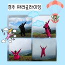 경주페러글라이딩 | 대구 액티비티 추천 경주 패러글라이딩 체험 후기