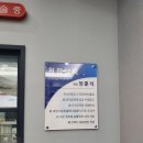 언제나동물병원