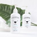 착한강아지 이미지