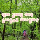 곰배령 PC 이미지