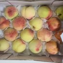 대왕청과 이미지