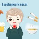 뜨거운음식 자주 먹는다면 식도암 발병률 높아져 이미지