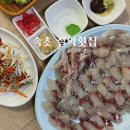 설악횟집 | 속초맛집 끝판왕, 회 맛집 설악횟집 찐 후기! 내돈내산 단골집