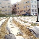 성규농장 이미지