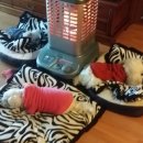 토요일(특별) 이미지