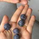 씨제이올리브영(주) 광주봉선점 | 한 해의 절반을 보내며..