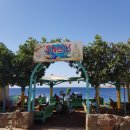 귀욤하개 | [이집트 여행] 다합 첫날. 이집트 현지식으로 아침 먹고 다합 여행자 거리 산책. 길에서 만난 이집트...