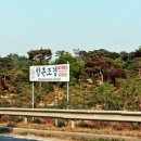 이상웅농장 네이버블로그