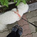 KIPISODE(20): 사랑 담뿍 받는 날들, 고망고 사랑해
