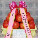 `제11회 예천우리농산물 축제 개최`-최우수상 유천면 이미지