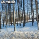 오비히로 | 3월 오비히로 여행 눈 볼 수 있나요? 3월 중순 다녀온 오비히로 날씨 후기
