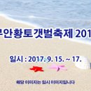 무안황토갯벌축제 2017 이미지