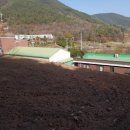 녹지부동산공인중개사사무소 이미지