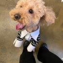 예뻐지개 이미지