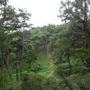 부소산성 남문지 이미지