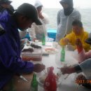 호진E(구 호진3) 이미지