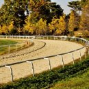 형식목장 이미지