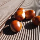 정안 낚시터 이미지