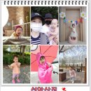 아성장 Daum카페