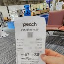 피치인터내셔널 | 오사카 피치 항공 후기 체크인 기내수하물 7kg 무게 검사 위탁수하물 추가 가격 + 간사이공항 터미널2...