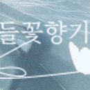 오늘의뽑기 이미지