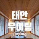 힐링존 - 달서구 월배로 493 | 태안 감성숙소 무이림 노키즈존 힐링 숙소 후기