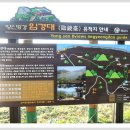 영남대로 Daum카페