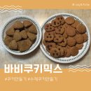건강한 스콘&쿠키만들기 | 쿠키만들기 홈베이킹 현미쿠키 바질스콘만드는법