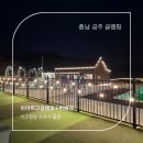 밤하늘의 별 | [공주 글램핑] 밤하늘의 별과 자쿠지가 있는 감성 숙소, '히어위고 글램핑' 후기