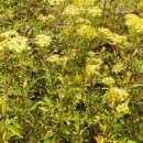 돌마농장 이미지