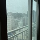 가을흔적 | 부산입주청소업체 추천, 서면봄여름가을겨울 공사 흔적까지 잡아낸 청단클린 현장후기