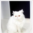 구서동물병원 이미지