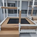 대청어린이집 이미지