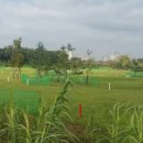 인천광역시 선학파크골프장 이미지