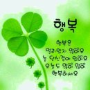 (욜로짱언니 일상)여수스테이크맛집,티롤레스토랑,빈티지레스토랑