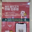 제주믿음도야지 이미지
