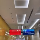 한국맥도날드중동D/T점 | [신혼여행] 두바이 공항 환승, 두바이 레이오버, 부르즈 할리파, 알시프 스타벅스, 두바이 프레임, 미래...