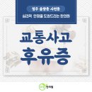 안심하고 받아도 좋은 사천동물리치료, 주성한의원