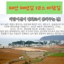 12월 23일(목) 보령 해저터널개통!!~/원산 안면대교 /영목항/태안 해변길 7코스(바람길) ♡30,000원.왕초보환영.조중식(찰밥 이미지