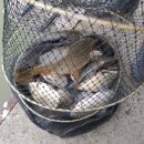 중부낚시터 이미지