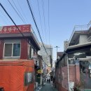 토종바로순대 | 충정로 백암토종순대 순대국 후기! 넷플릭스 보다가 달려감