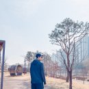룰루레몬 패스트 앤 프리 라인드 러닝 쇼츠 후기
