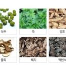 핌플하우스